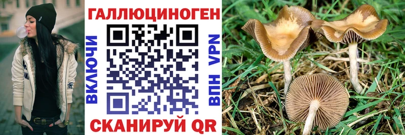 цены наркотик  Нефтегорск  Галлюциногенные грибы мухоморы 
